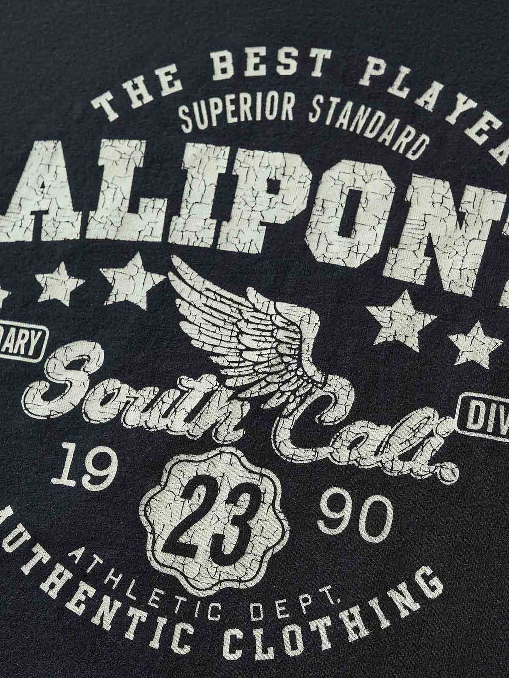 ヴィンテージプリントTシャツ｜カジュアルデイリースタイル