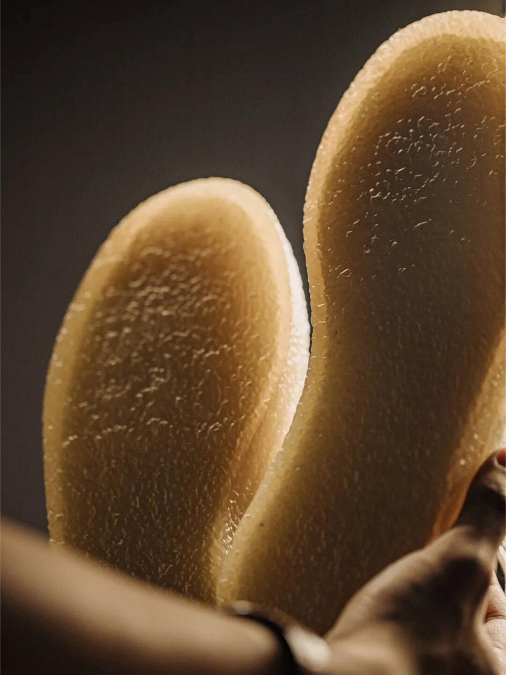 ショウ ジャーマントレーナー スニーカー